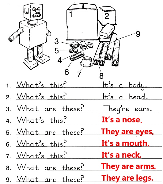 F. Из каких частей состоит робот? Ответь на вопросы.