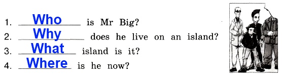 E. Imagine you are a detective. Write questions about Mr Big.